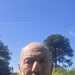 Vanlife ian's profile picture