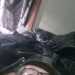 Brandal's profile picture