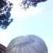 Photo of janetlay594