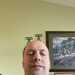 Ulven's profile picture