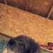 Whitelionbar.'s profile picture