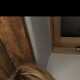 Poleo