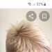 Sam's profile picture