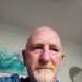 Steve's profile picture