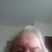Paul's profile picture