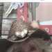 Patricia's profile picture