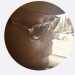 Thedude1993's profile picture