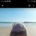 Angela's profile picture