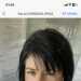 Andrea's profile picture