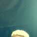 Herrita's profile picture
