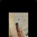 Salina's profile picture