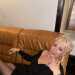 Liz's profile picture