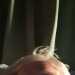 Michael's profile picture