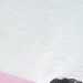 Vimal's profile picture