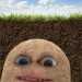 Alexia's profile picture