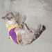 Itsme11's profile picture