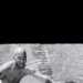 Paul's profile picture