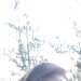 Ninetta's profile picture
