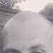 Joe's profile picture