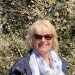Judy's profile picture