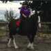 Lynda's profile picture