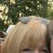 Sue's profile picture