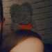 Charlotte's profile picture