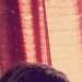Twolf112's profile picture