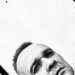 Dominik's profile picture
