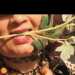 Twinkle's profile picture