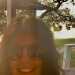 Lori's profile picture