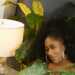 Ladysylvia's profile picture