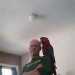 cattivo5's profile picture
