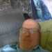 Tony's profile picture