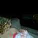 MamaCiCi's profile picture