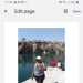Bee's profile picture