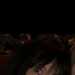 Caroline's profile picture