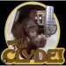 Charles's profile picture