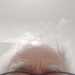 Peter's profile picture