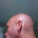 roofwizard's profile picture