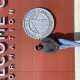 Anellyy