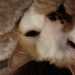 lexi_xoxo's profile picture