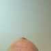 Shaney's profile picture