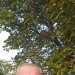 Richard's profile picture