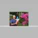Mark's profile picture