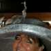 Katherine's profile picture