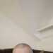 Dominic's profile picture