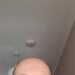 Youlikeme2's profile picture