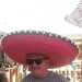 Ian's profile picture