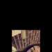 Kacey's profile picture